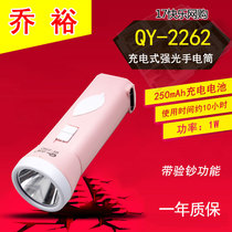 Joyu QY-2262 rechargeable bright light handheld home mini-banknote-checking flashlight 250mAh
