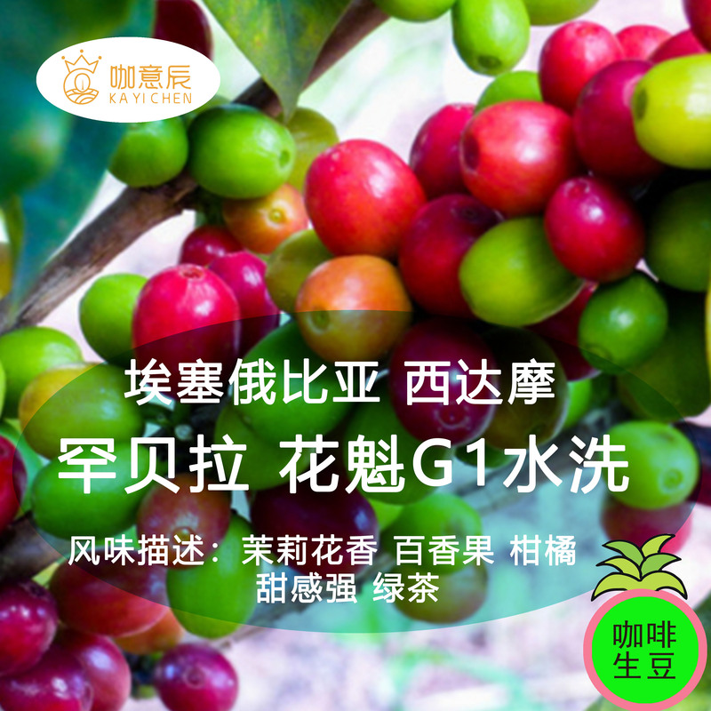 Yichen 25 Years Old Ethiopian Sidamo Hanbera Flower Queen G1 Washed Specialty Coffee Beans Cold Brew Ice Drip