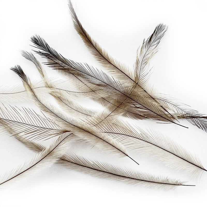 Emu Imported Australian Ostrich Feathers Fly Tying Materials, Suitable for Both Dry and Wet Flies