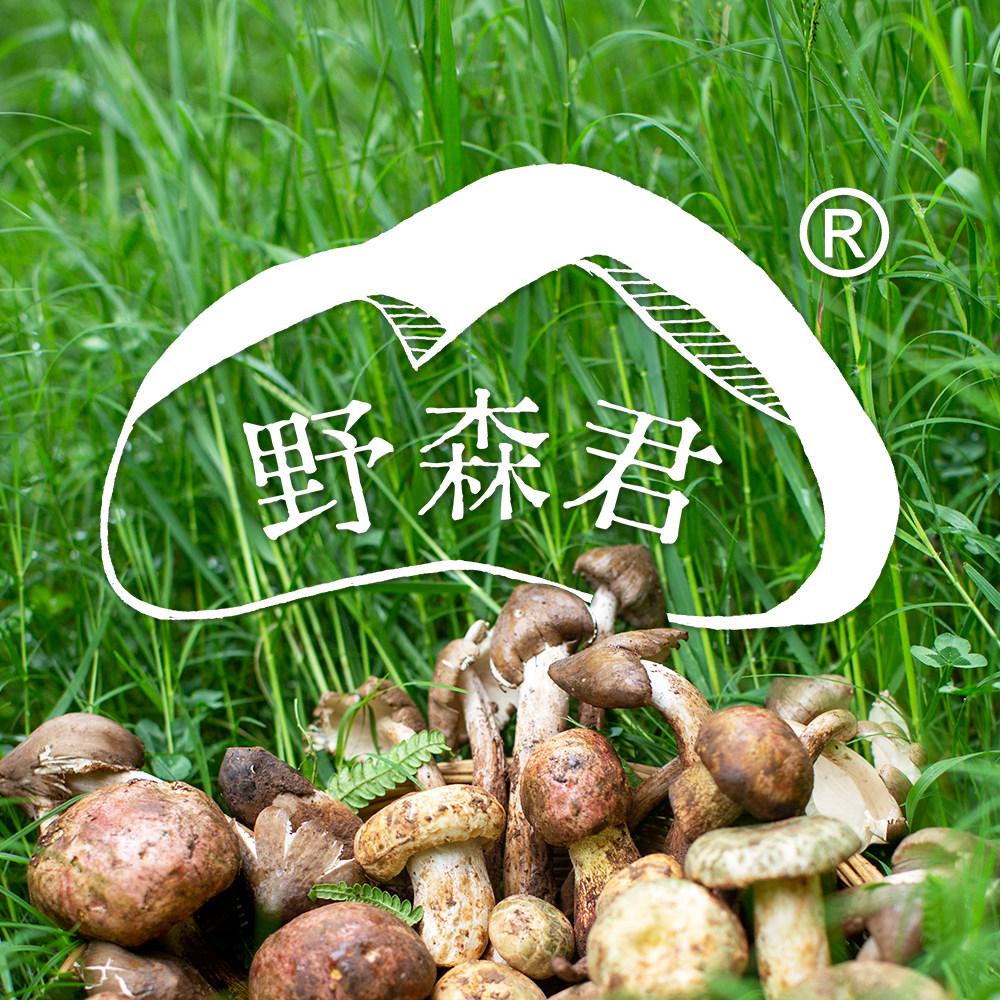 野森君企业店