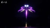 Beijing luminous kite light seek a happy 2020 original classic reproduction 3 flat 4 flat 6 flat dragonfly luminous kite