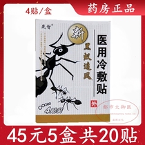5 Boxes Pharmacy New Black Ant Chase Wind Sticking Cold Compress Paste Black Ant Overdraft Bone Post Fever Magnetotherapy Post 4 Sticker