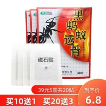 5 boxes of inexplicability Chubin upgrade Mid Black Ants black ants Tendon Sheath Tendon sheath Tendon Sticking to Waist Sticking Paste