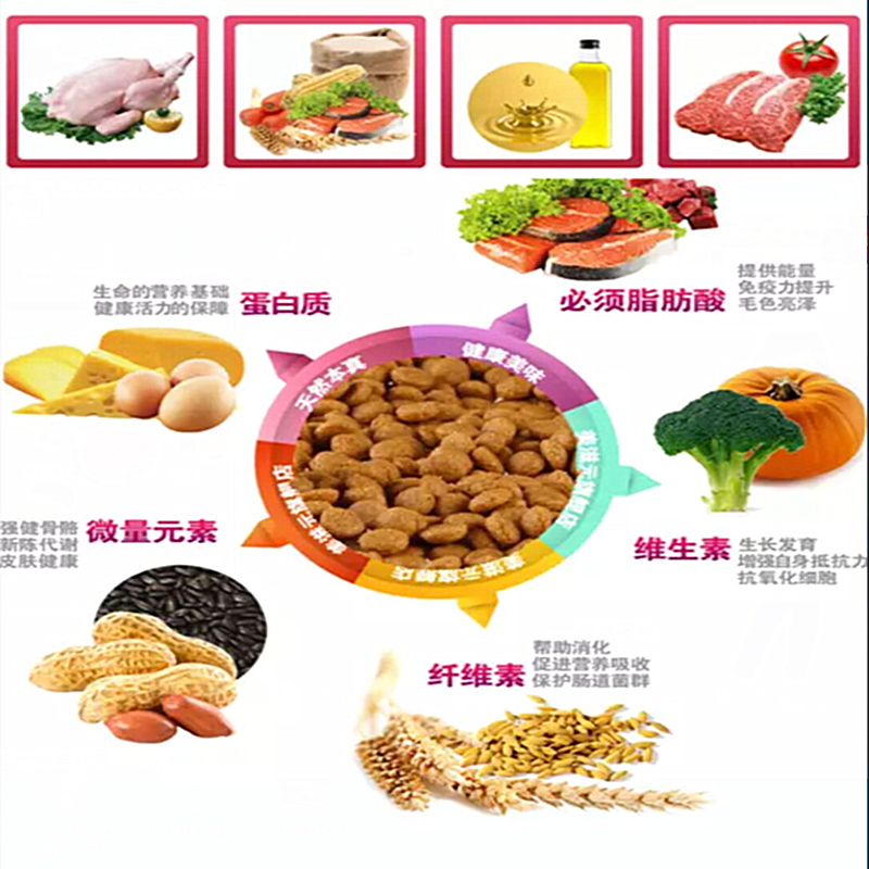 5 kg 2.5Kg số lượng lớn thức ăn cho chó đặc biệt Satsuma Jinmao Xiong Teddy vừa và nhỏ chó con chó con chung thức ăn cho chó royal canin puppy