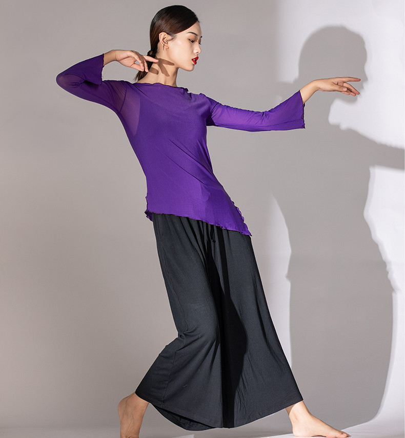 Dansego new elastic mesh dance suit super beautiful practice outer shirt classical dance flared sleeve long top WE01119