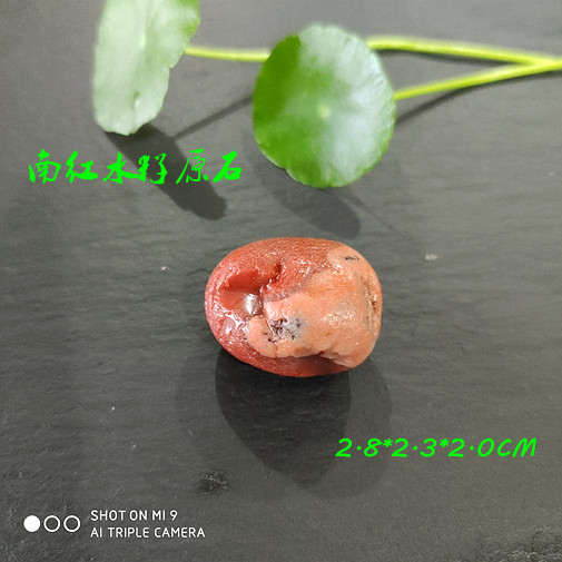 Natural Southern Red Seed Carving Raw Stone Jinsha River Red Seed Agate Specialty Collection Value-Added Gift Jewelry