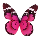 Средний фестиваль фестиваль двойной симулятор моделирования бабочек набор головных уборов зажимной настен