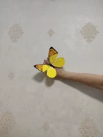 20 см бабочка запястье, бабочка 32 Цвет -один -two