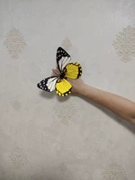 20 см бабочка бабочка 5 цветов -один -two Color