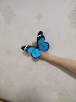 20 см запястья бабочка, бабочка 3 цвета -на -дюймовый цвет