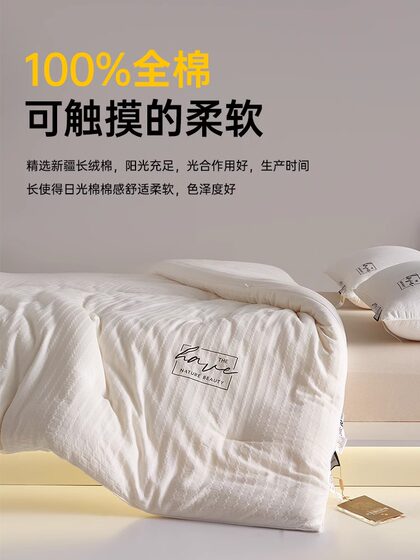 High-End Class a Long-Staple Cotton 80% Soybean Fiber Quilt Core Winter Quilt Spring and Autumn Quilt Thickened for Warmth Suitable for All Seasons