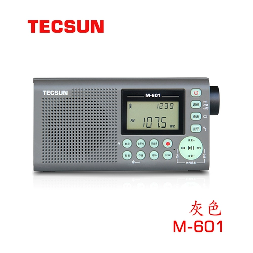 TECSUN/DESHENG M-601 FM CARD RADIO RADIO RADIO RADIOR