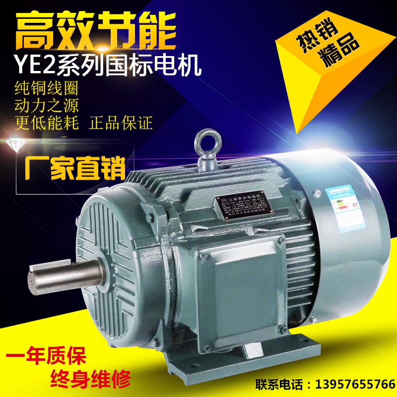YE2 GB motor 2 4 pole 380V three phase asynchronous motor 0 37kw - 15kw copper core wire motor