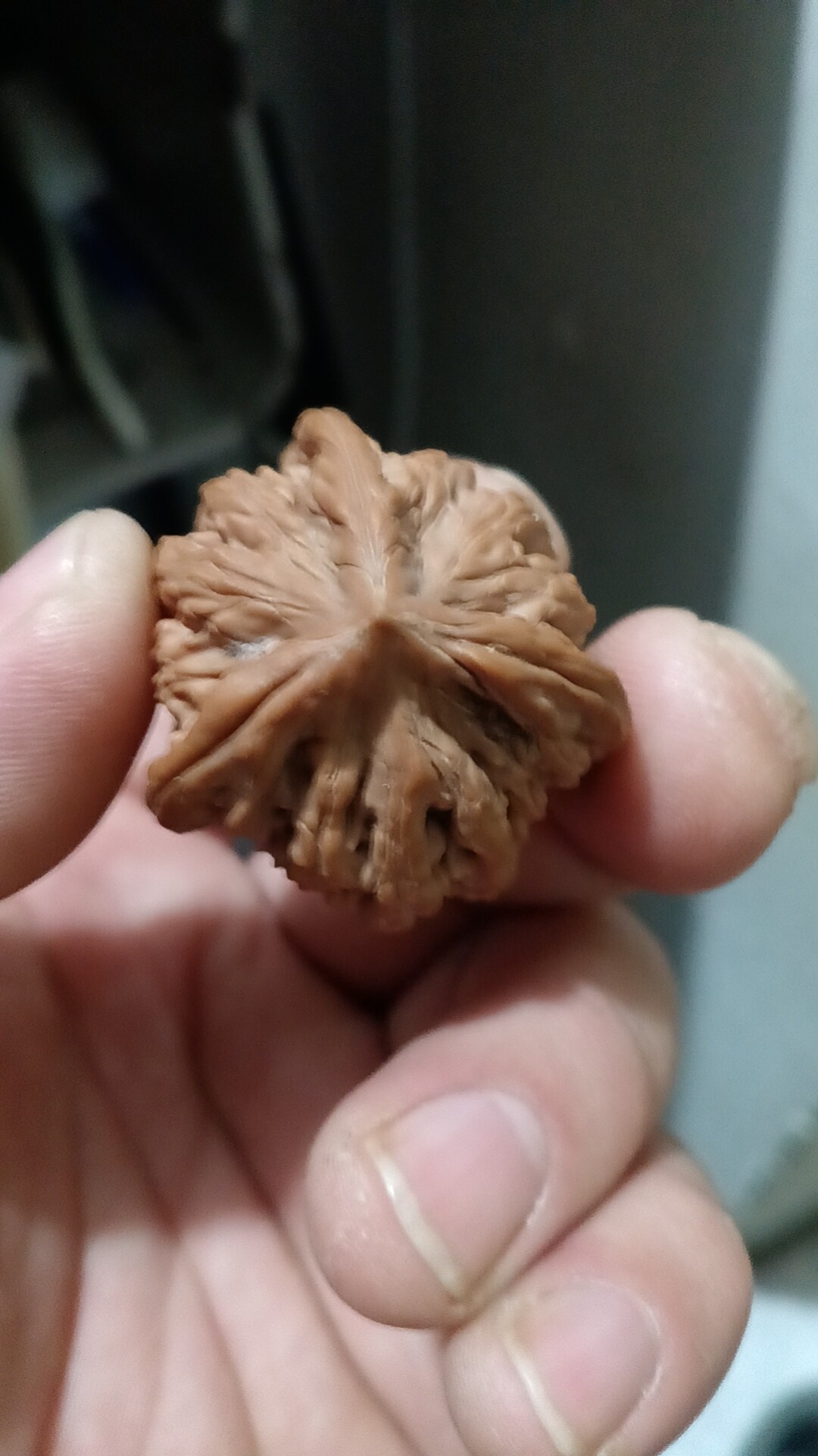 悠然核桃的LOGO