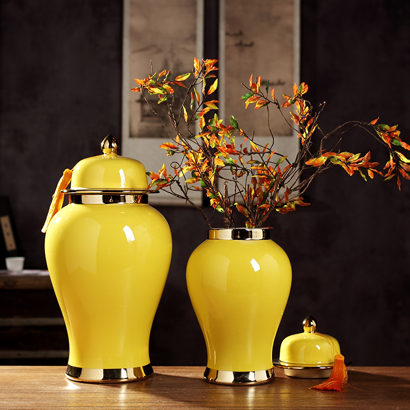 Jingdezhen new Chinese wine cabinet mesa general large vase can of the sitting room porch ceramic flower arranging feng shui furnishing articles