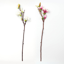 PV fake flower simulation flower 5 head magnolia tree flower living room retro dead branch tree vase whole floral petals