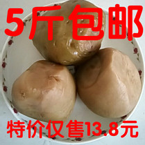 Mustard pickles 5kg northeast farmhouse pickles mustard mustard the whole original taste is only 13 8