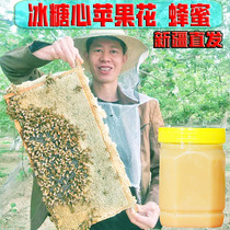Xinjiang apple flower honey jujube nectar Pure natural farm produce no added edible honey pregnant women