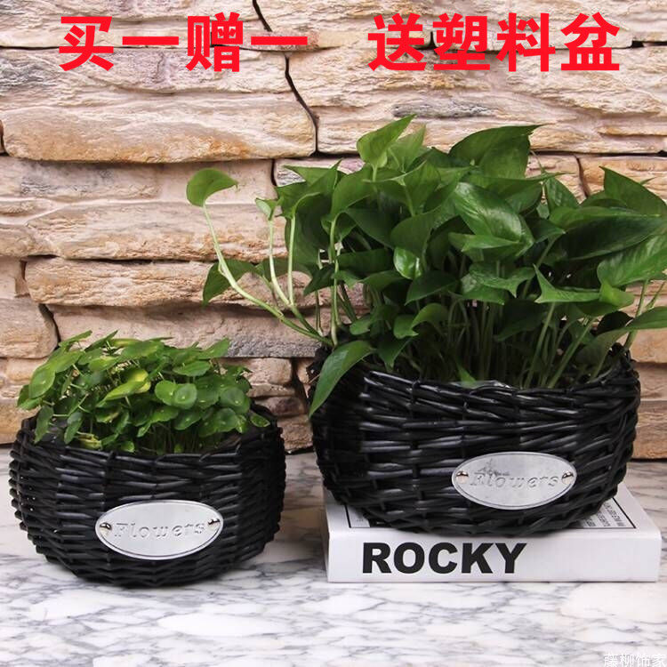 Rattan flower pot Grass woven willow woven creative flower basket woven ornaments Green plant flower arrangement Golden Ge cultivation pastoral home decoration