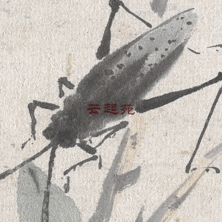 Qing Wang Wu Shen Zhou Insect Tree Map X HD Electronic Picture 82M Decoration Promotional Material