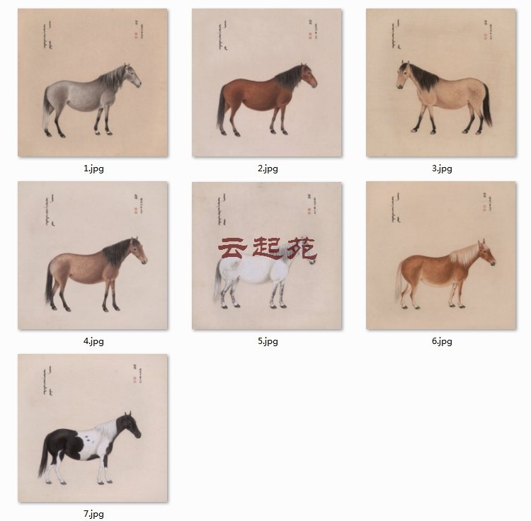 Qing Xuen Eight Picture C8 HD Electronic Picture 1 99G Decorative Promotional Material