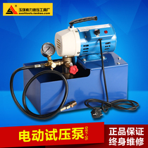 DSY-25 60 portable electric pressure test pump PPR water pipe pressure test machine Double cylinder pressure pump pressure machine