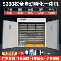 5280 Полностью автоматически все -ин -один