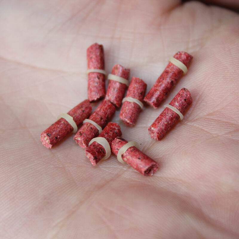Finished Red Worm Bait Crucian Carp Carp Grass Carp Seaweed Granular Bait Direct Use Bait Granular Bait Sloth Bait New Hand Use