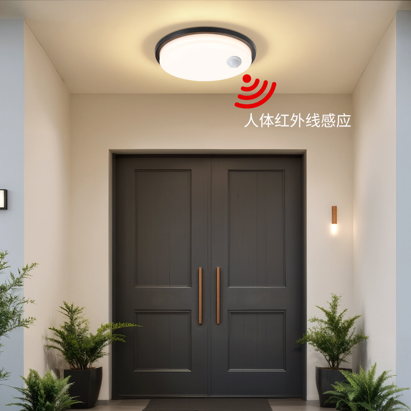 Outdoor Waterproof Ceiling Light with Human Body Sensor for Villa Entrance, Eaves, Pavilion, Corridor, Aisle, Staircase Ceiling Light