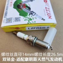 Adapted Conmings engine natural gas LPG spark plug double iridium gold generator spark plug