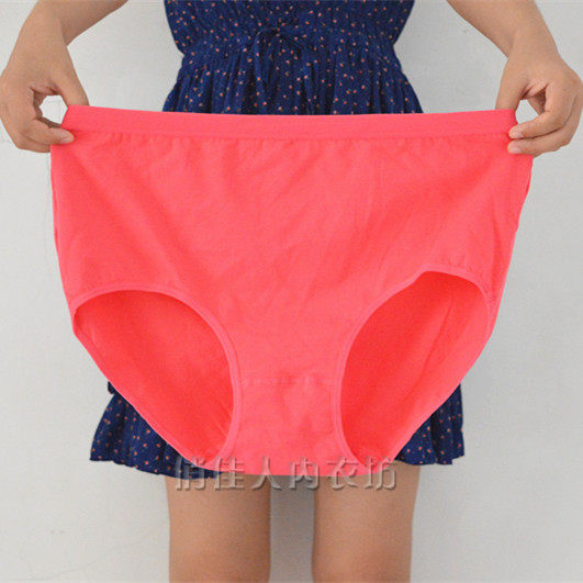 Slip en coton - Ref 646742 Image 5