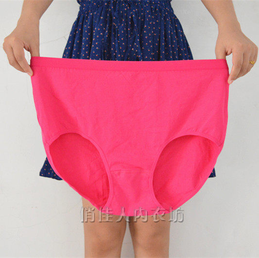 Slip en coton - Ref 646742 Image 8