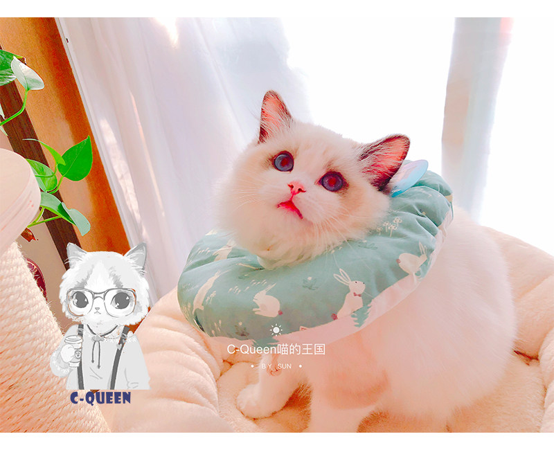 Spot C-Queen Elizabeth Circle Ascended Version Softring Kitty Pet Neck Collar neck cover Anti-licking anti-licking headgear