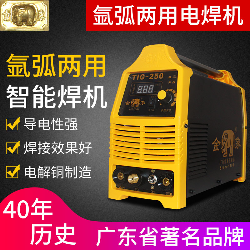 Golden Elephant TIG-250 Single-use argon arc welding machine stainless steel welding machine 220V Industrial grade home welder
