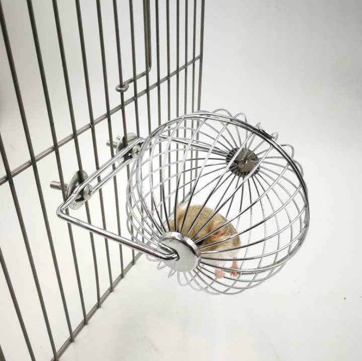 Rabbit Holland Pig Dragon Cat Grass Rack Ball No Rusty Grass Rack Ball Dragon Cat Grass Rack Ball Grass Polo Grass Shelf New Product