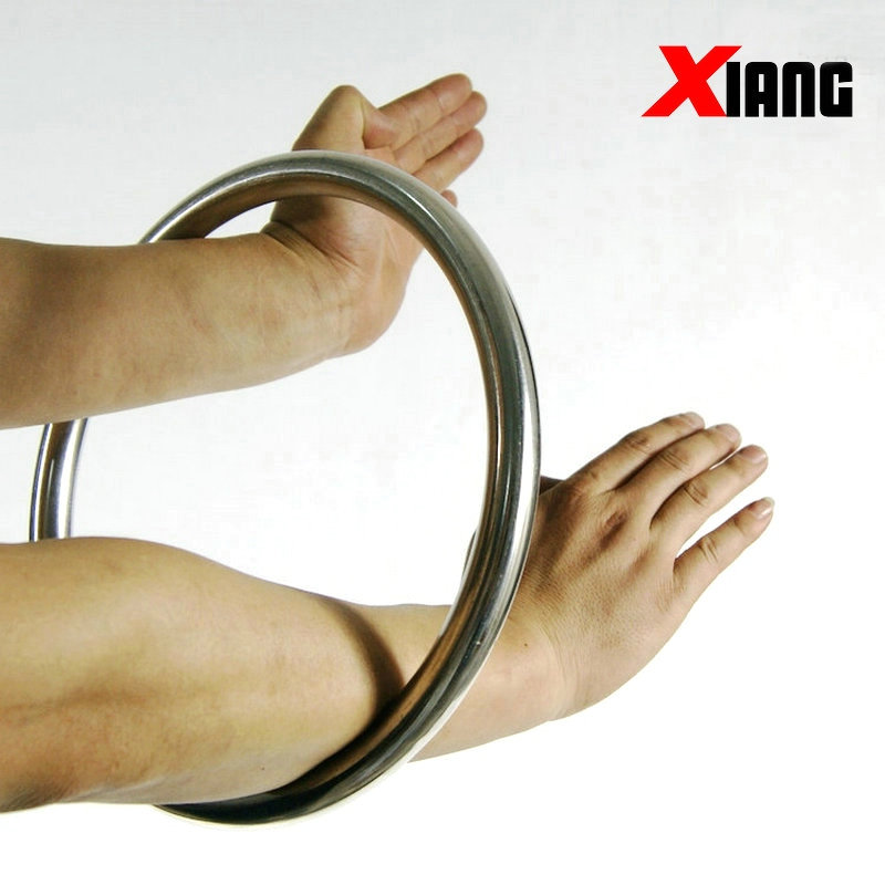Guangzhou Diamondring Wing Chun Boxing Stainless Steel Vines Practice Techniques Training Hollow Steel Ring Equipment Guangdong Wumuseum