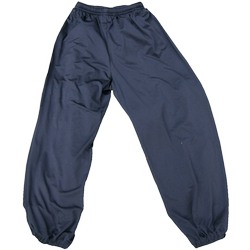 Guangzhou Xiangpai Wing Chun Kung Fu Pants Chinese Martial Arts Ice Silk Long Pants Performance Training Traditional Tai Chi Lantern Pants