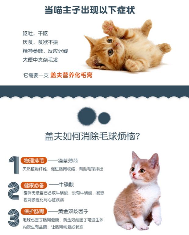 Kem dưỡng tóc mèo Giff kem dưỡng tóc cho thú cưng sữa cho chó uống	