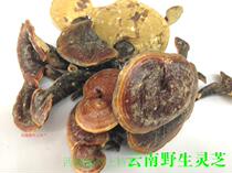 Authentic Yunnan wild Ganoderma lucidum wild Ganoderma lucidum cost-effective 250g 1 injury can be ground powder