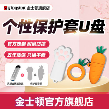 Kingston Official Genuine USB Flash Drive Protective Case High-Speed Creative Large-Capacity USB Flash Drive for Girls Cute Cat Paw Protective Case