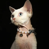 Чокер, милый декор, шарф, летнее ожерелье