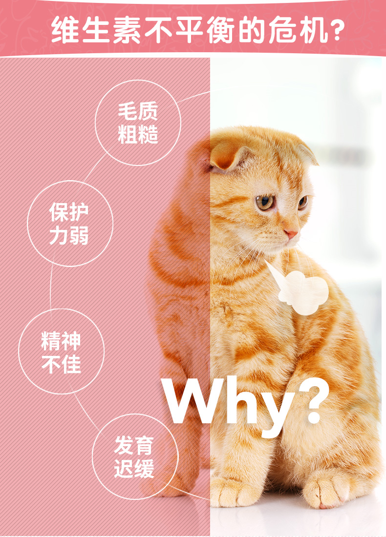Mèo Med in-kat với viên vitamin dinh dưỡng b chăm sóc da làm đẹp tăng trưởng lông thú cưng mèo sản phẩm dinh dưỡng sức khỏe c - Cat / Dog Health bổ sung bio milk cho mèo