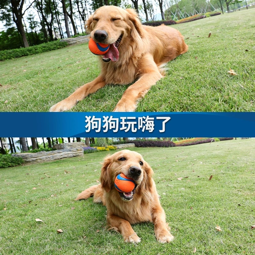 petmate Собачья игрушечные шарики звук -устойчивый к большим собачьим молярным молярным эластичным лабрадором щенком золотистого ретривера