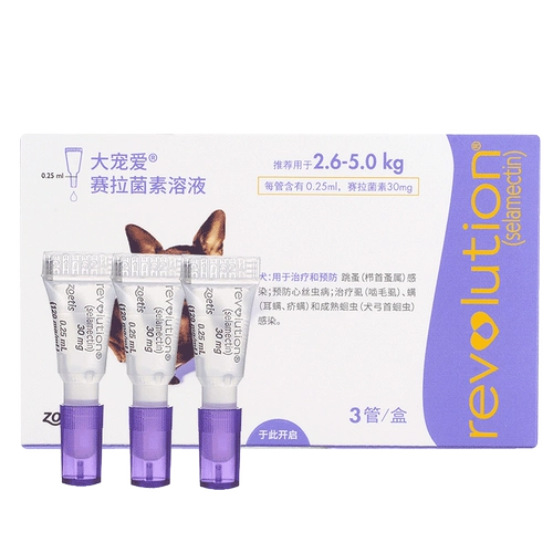 大宠爱 СОБАКОВОЙ ВЗЕРНЫЙ МАЛЕНЬКИЙ СОБАВИТЕЛЬНЫЙ ТЕДДИ