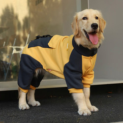Dog Clothes Autumn and Winter Sweatshirt Labrador Border Collie Golden Retriever Large Dog Four-Legged Clothing Pet Apparel for Medium and Large Dogs