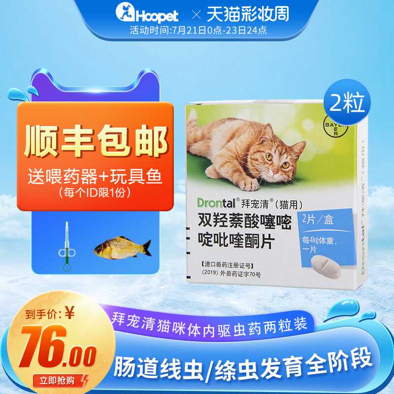 流浪貓點除蚤藥成 行動除蚤員 家貓也要定期防蟲 Ettoday寵物雲 Ettoday新聞雲