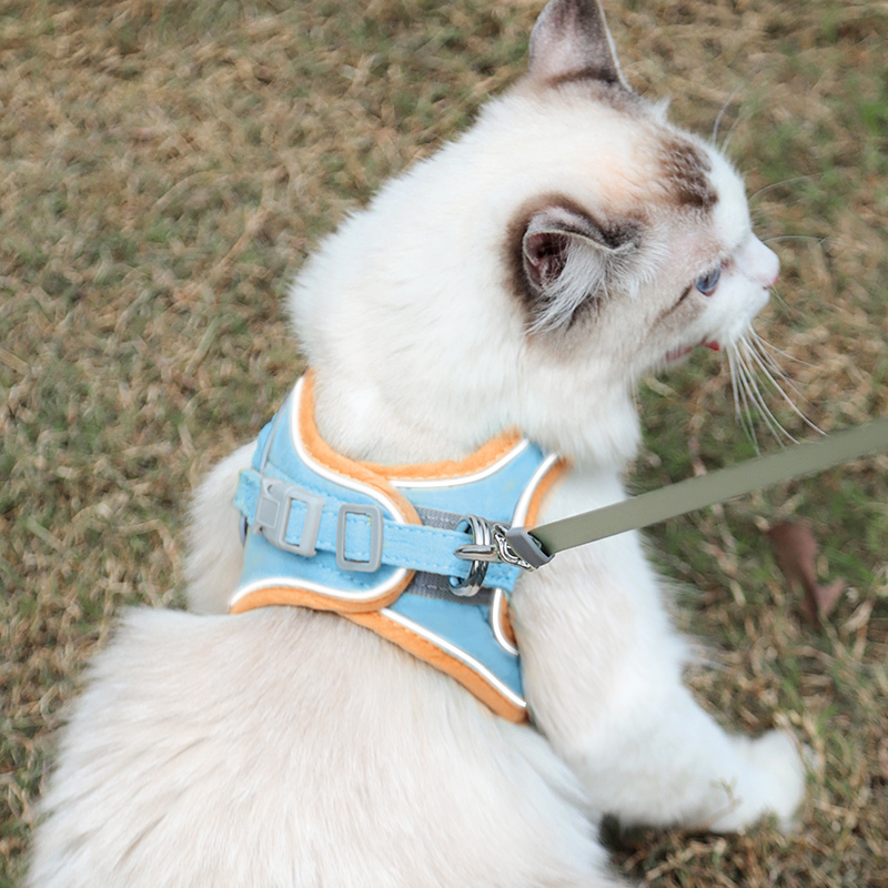 Kitty Traction Rope Home Vest Type Chest-Holding Baby Bag Cute Anti-Escape Walking Cat Rope Dog With Cat Chain Pet Exclusive