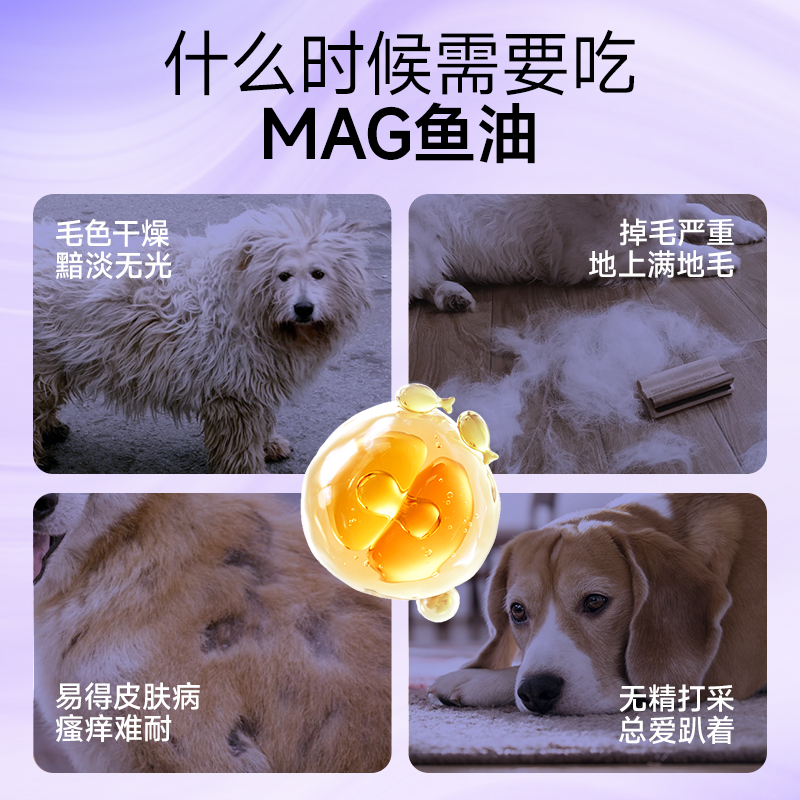 MAG鱼油深海精华，宠物护肤新潮流，布偶猫猫咪狗狗的美毛秘籍！