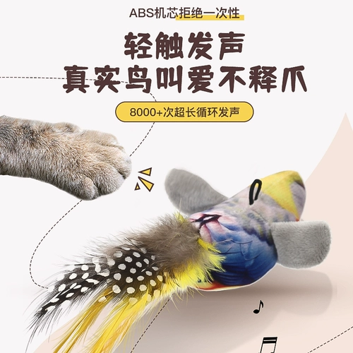 Игрушка, качели, избавление от скуки, домашний питомец, котенок, кот