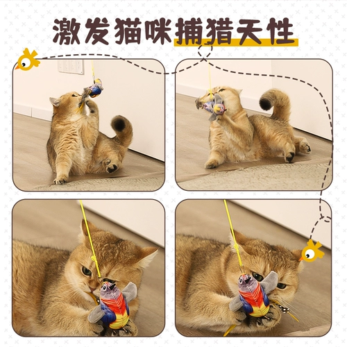 Игрушка, качели, избавление от скуки, домашний питомец, котенок, кот